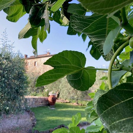 Hotel Monteriggioni Exterior photo