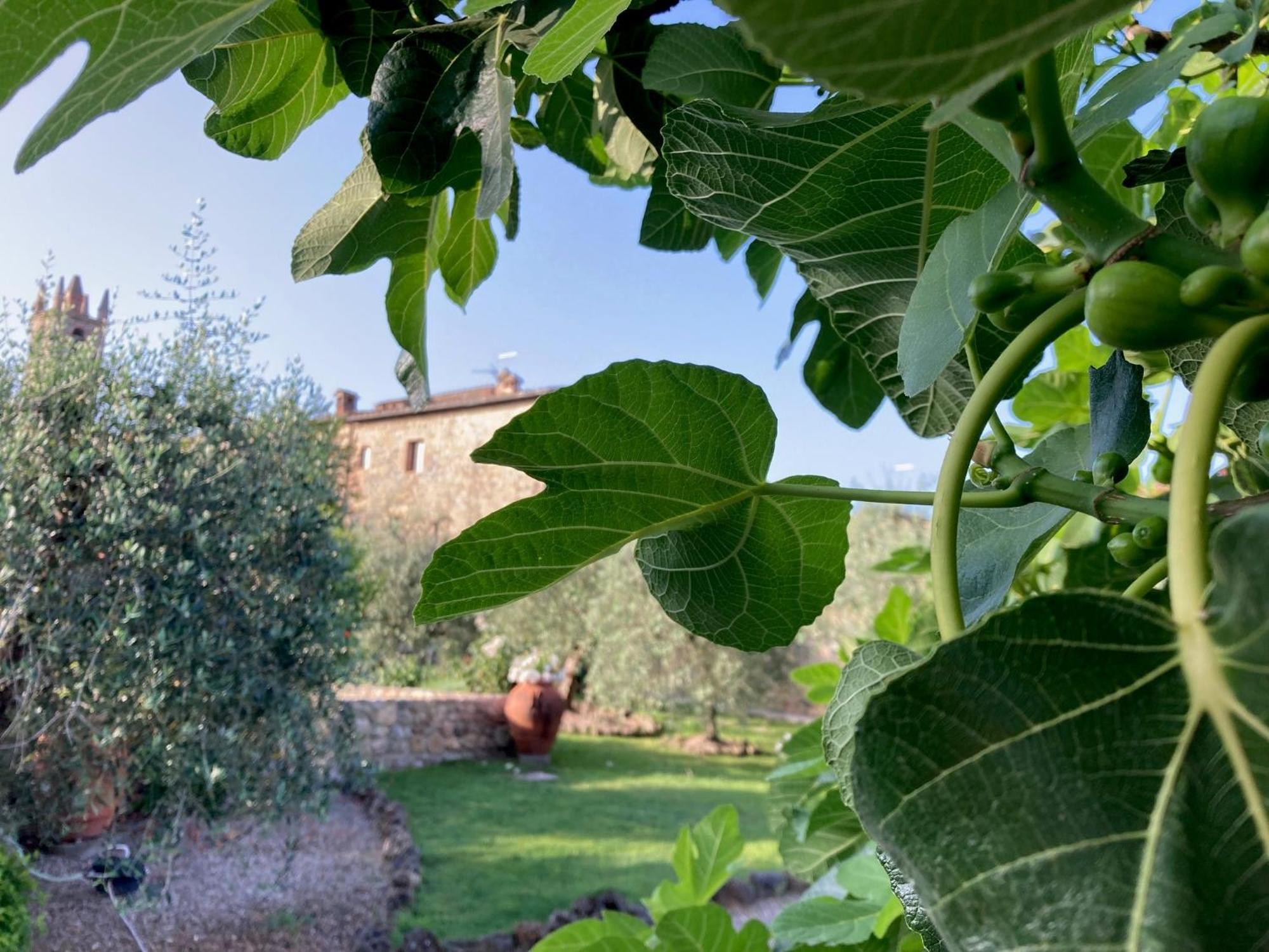 Hotel Monteriggioni Exterior photo